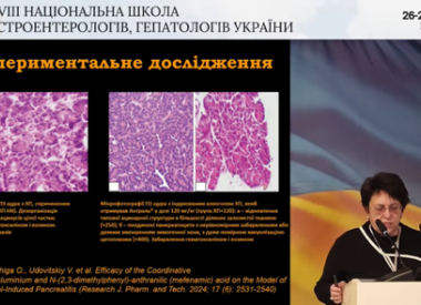 ХХVІІІ Національна школа гастроентерологів і гепатологів України